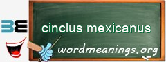 WordMeaning blackboard for cinclus mexicanus